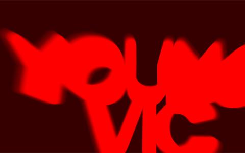 Young Vic Banner